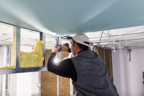 Best Cellulose Insulation  in Philippi, WV