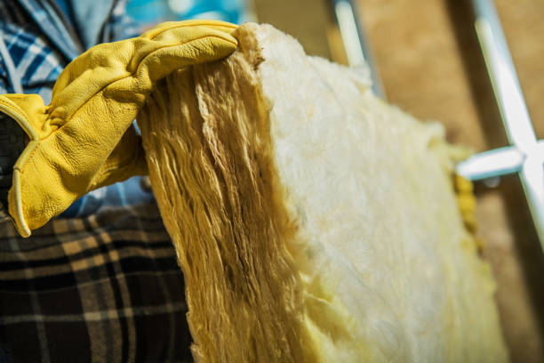 Best Spray Foam Insulation  in Philippi, WV