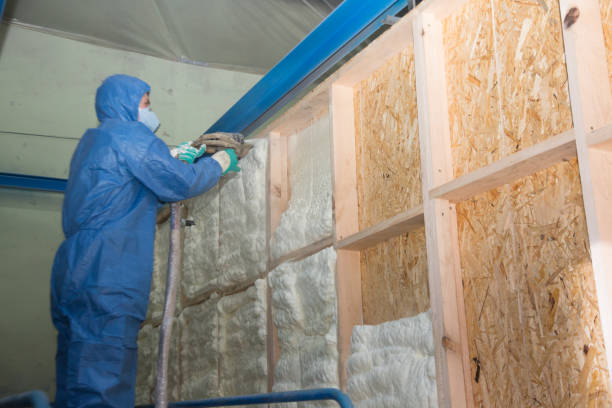 Best Insulation Contractors for Homes  in Philippi, WV