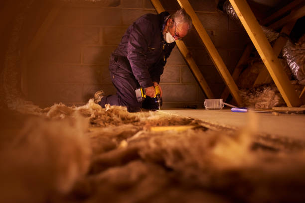 Best Insulation for New Construction  in Philippi, WV