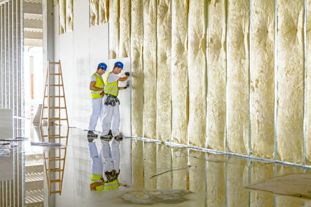 Best Professional Insulation Contractor  in Philippi, WV